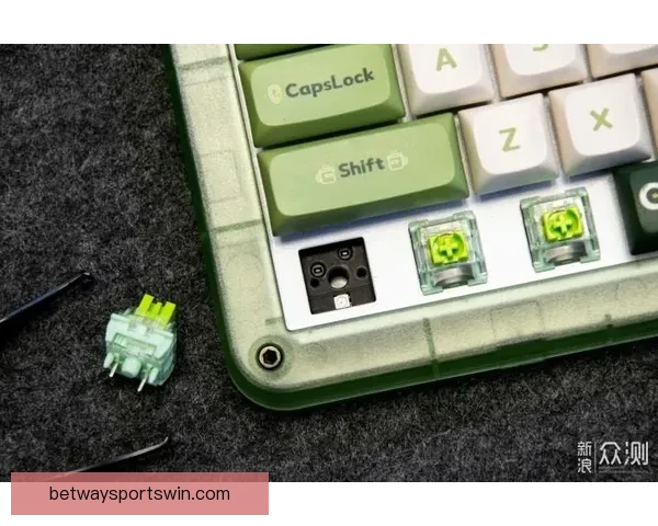 必威体育app下载全面解析与最新功能使用攻略指南